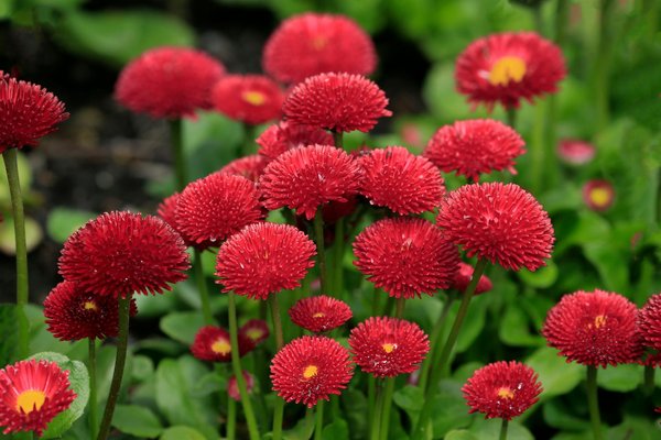 Le déménagement familial : stratégies incontournables pour un transfert harmonieux avec des ados – conseils et astuces essentielles !